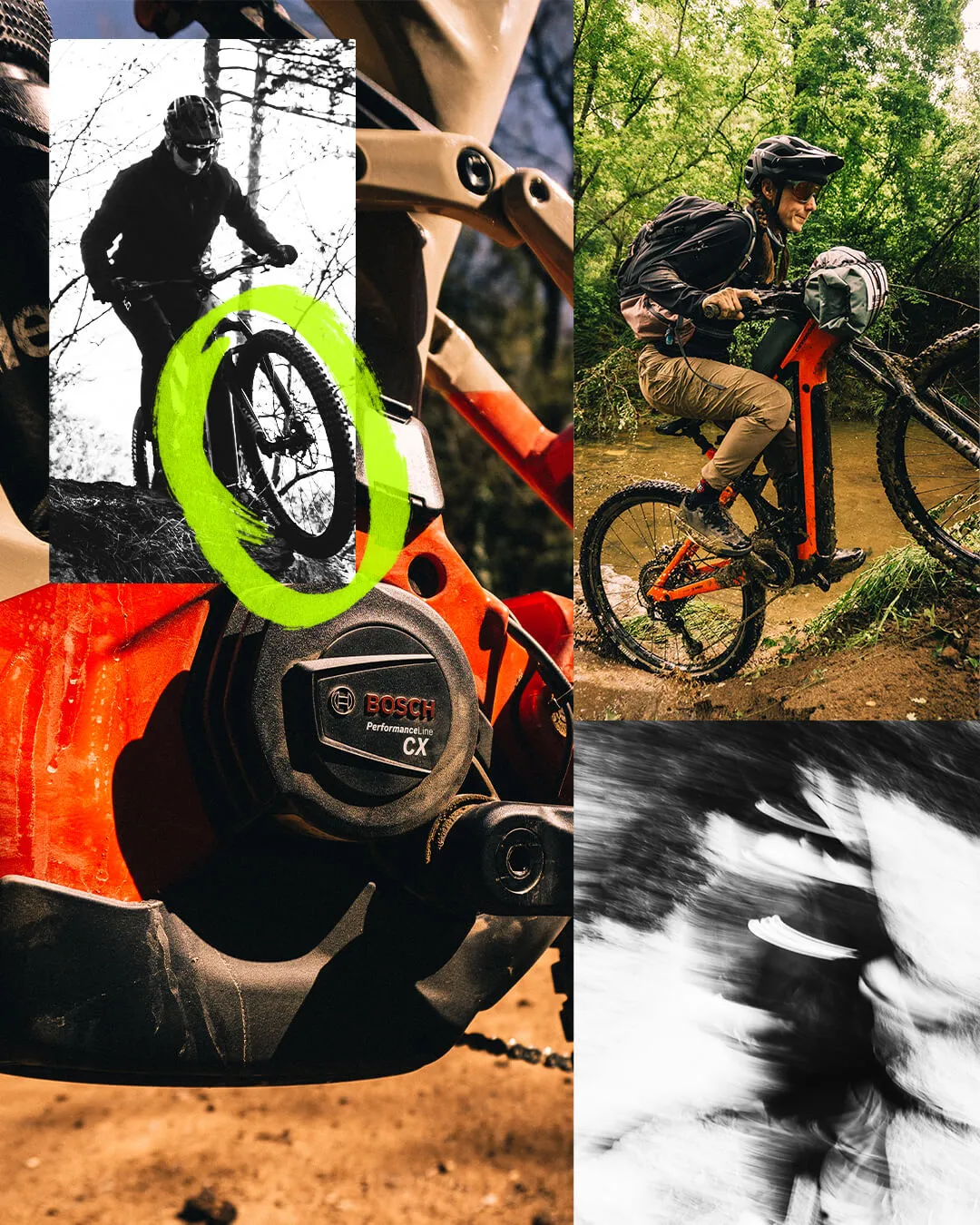 E bike tour